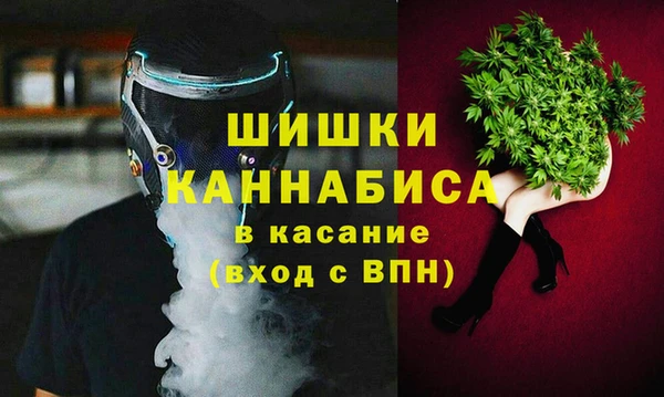 бошки Абаза