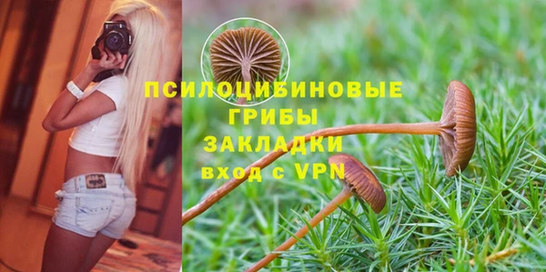 ALPHA PVP Алексин