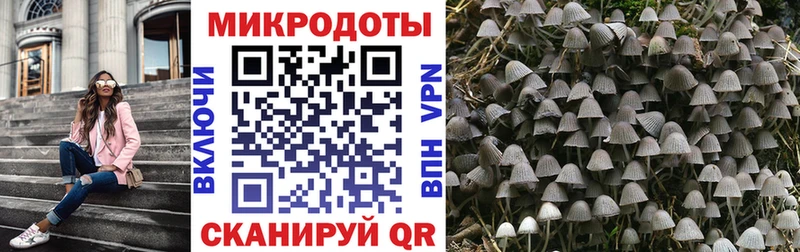 hydra зеркало  наркота  Кочубеевское  Галлюциногенные грибы ЛСД 